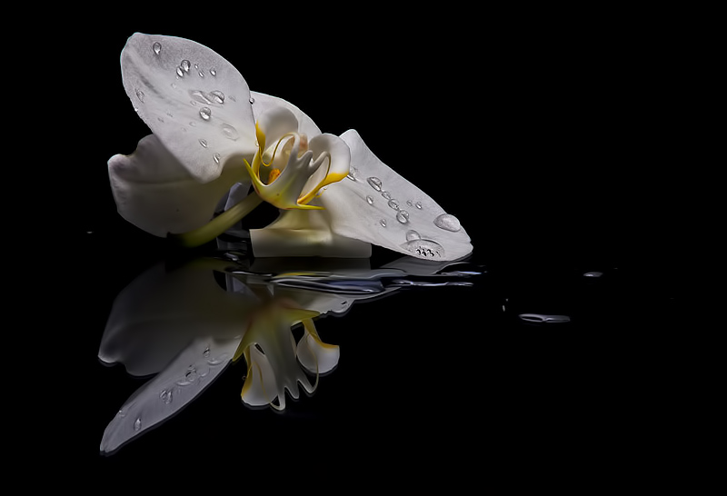 _Y1A1099web