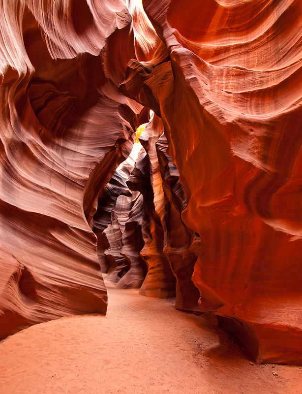 Antelope-1