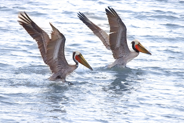 CRW_3430-3.jpg