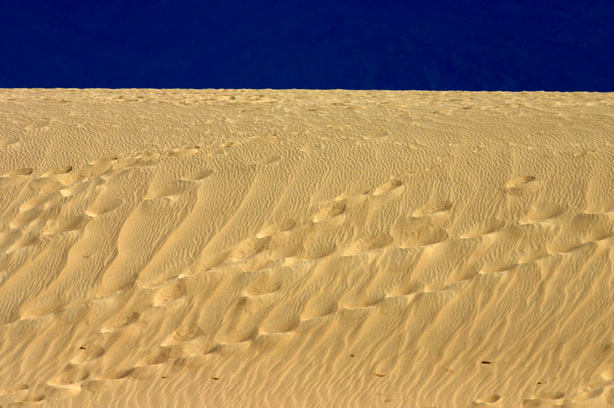 Footprints in the sand