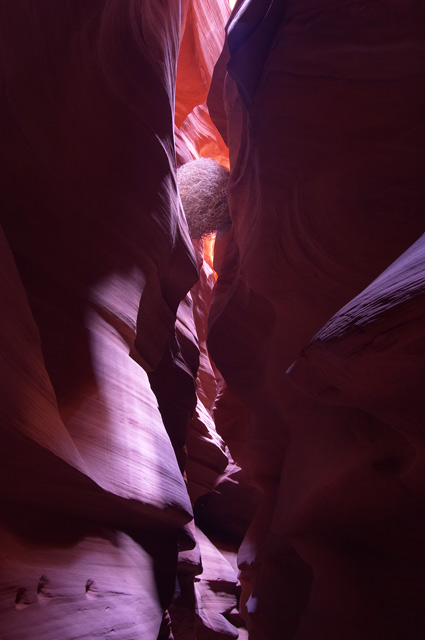 CRW_5587.jpg