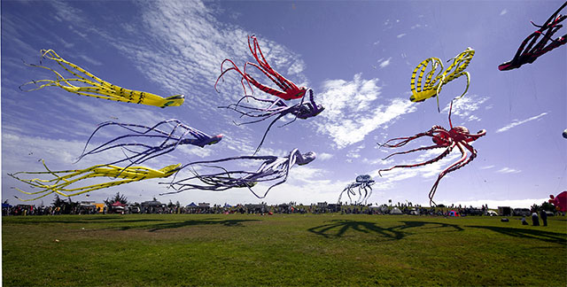 Squids from below