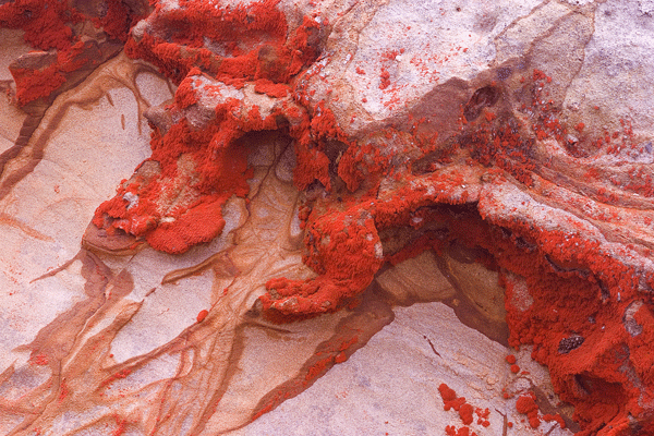 CRW_1251.gif