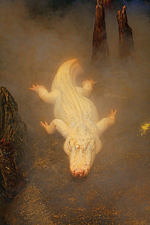 Albino Al