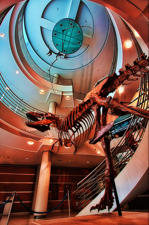 dino3