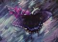 Butterfly Effect