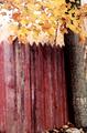 Fall Fence