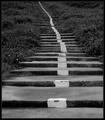 Clear Path