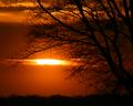 Tennessee Sunset