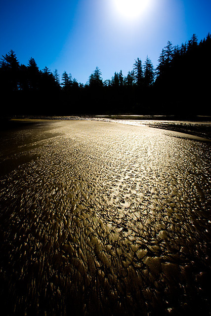 Textured Sands