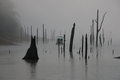 DSCN0010.JPG