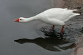 IMG_9915original.jpg