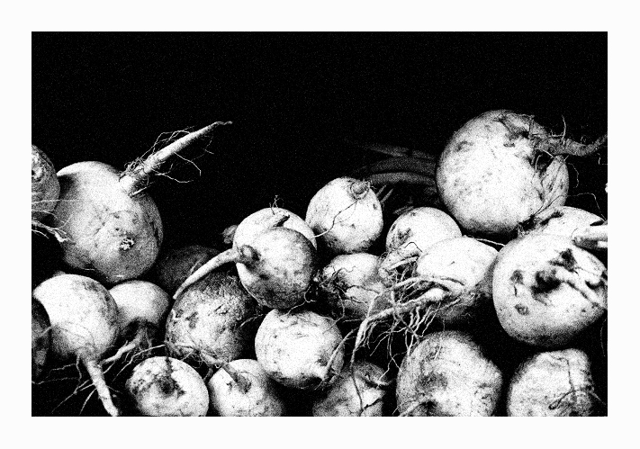 turnips for xion
