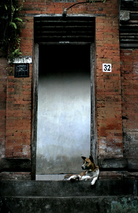 bali-9-doga.jpg