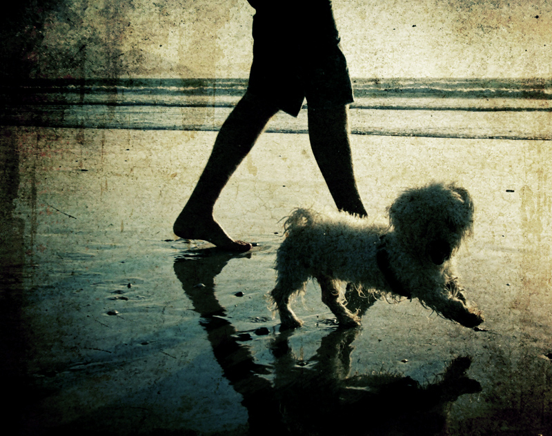 missing II