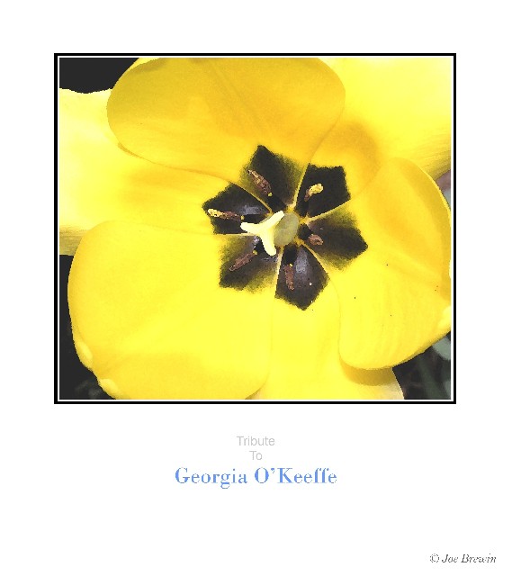 Tribute to Georgia O'Keeffe