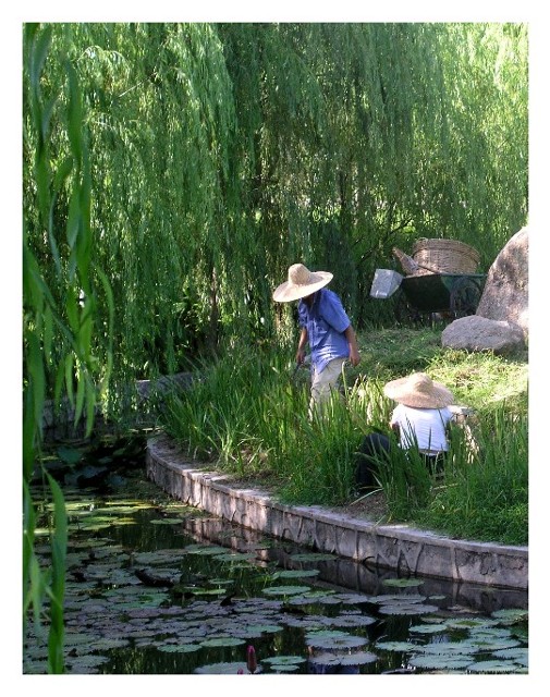Gardeners