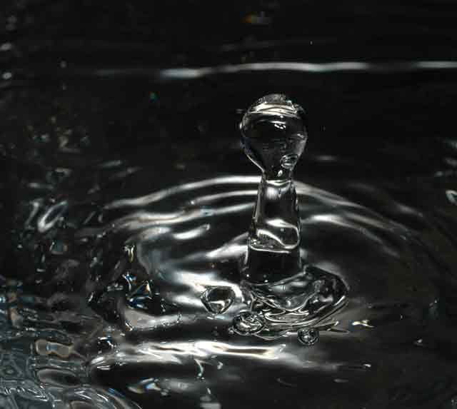 DSC_1160_1.jpg