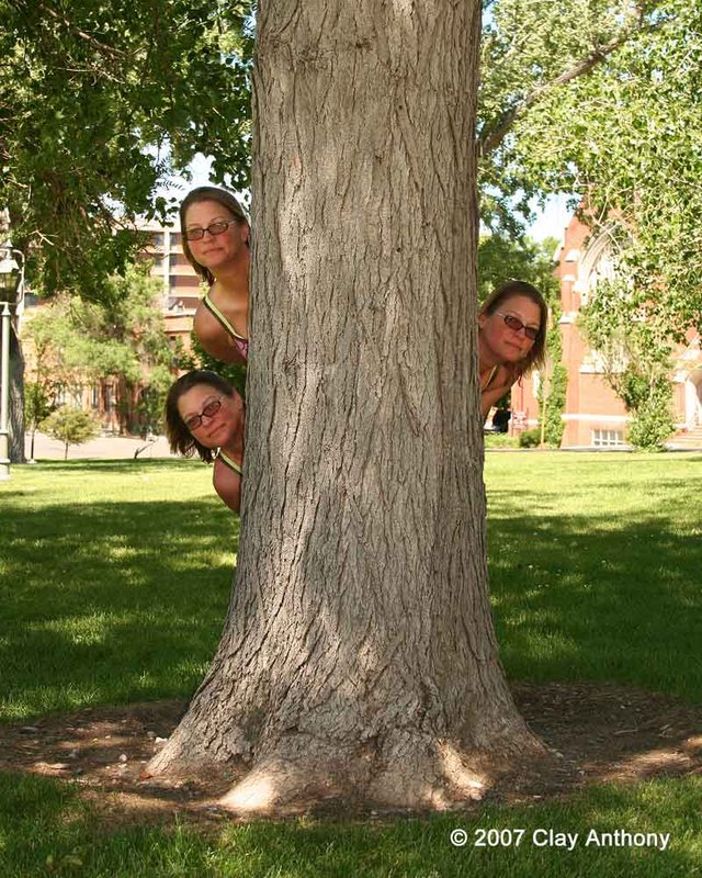 The.Tree.Hugger.jpg