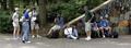 Zoo-ed_Out2.jpg