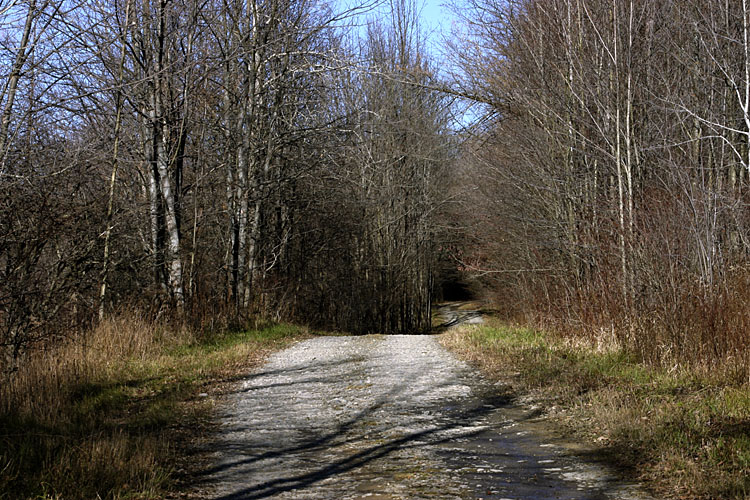 AQuietPlace.jpg