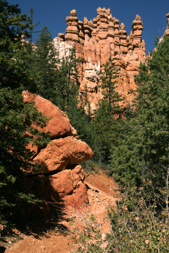 RockFace.jpg
