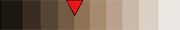 BrownScale.gif