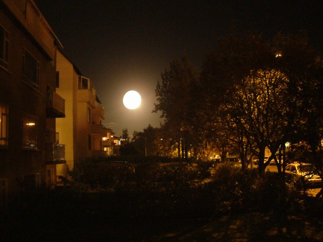 DSCF0444s.JPG