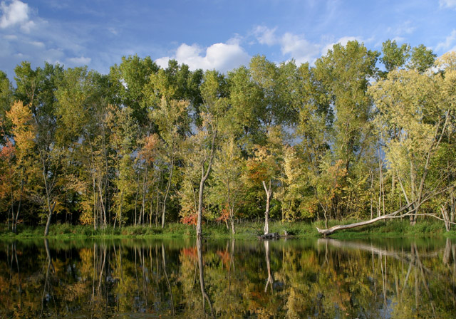 fall colors.jpg