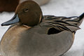 IMG_2675.jpg