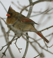 IMG_3206.jpg