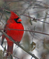 IMG_3662.jpg
