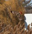 IMG_7764.jpg