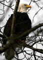 day3card-2-119.jpg