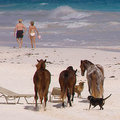 nov-trip-016.jpg