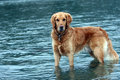 day3card-1-039buddy2.jpg