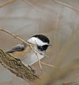 IMG_1763.jpg