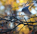 IMG_1085.jpg