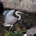 IMG_9081.jpg