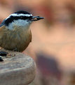 IMG_1075.jpg