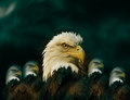 group-of-5.jpg