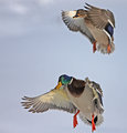 IMG_0144.jpg