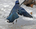 IMG_1788.jpg