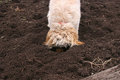 farmer-3.jpg
