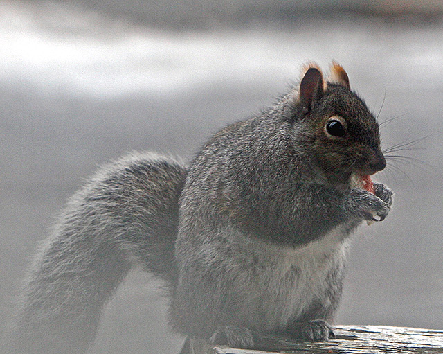 IMG_6560.jpg