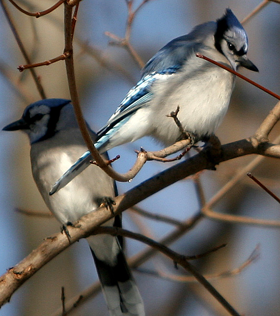 IMG_4358.jpg