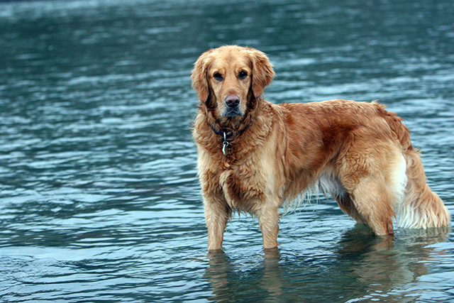 day3card-1-039buddy2.jpg