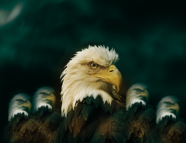 group-of-5.jpg