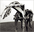 The Wooden Horse