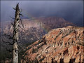 134_3438BryceCanyon2.jpg